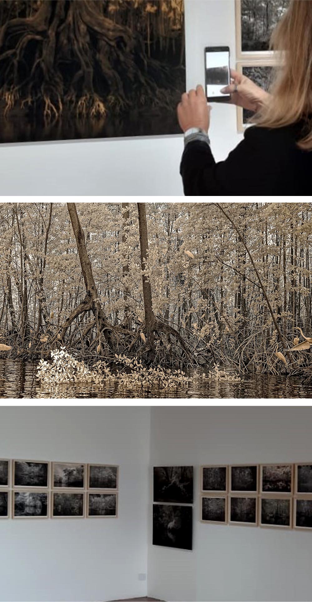 1. A foto mostra uma mulher loira de costas, ela está fotografando, com um celular, um quadro pendurado em sua frente.
2. A imagem mostra muitas árvores com folhas brancas. O local parece uma mata fechada em cima de um rio.
3. Na foto aparecem diversos quadros pendurados em duas paredes brancas que estão em "L". Em todos aparecem obras em preto e branco.