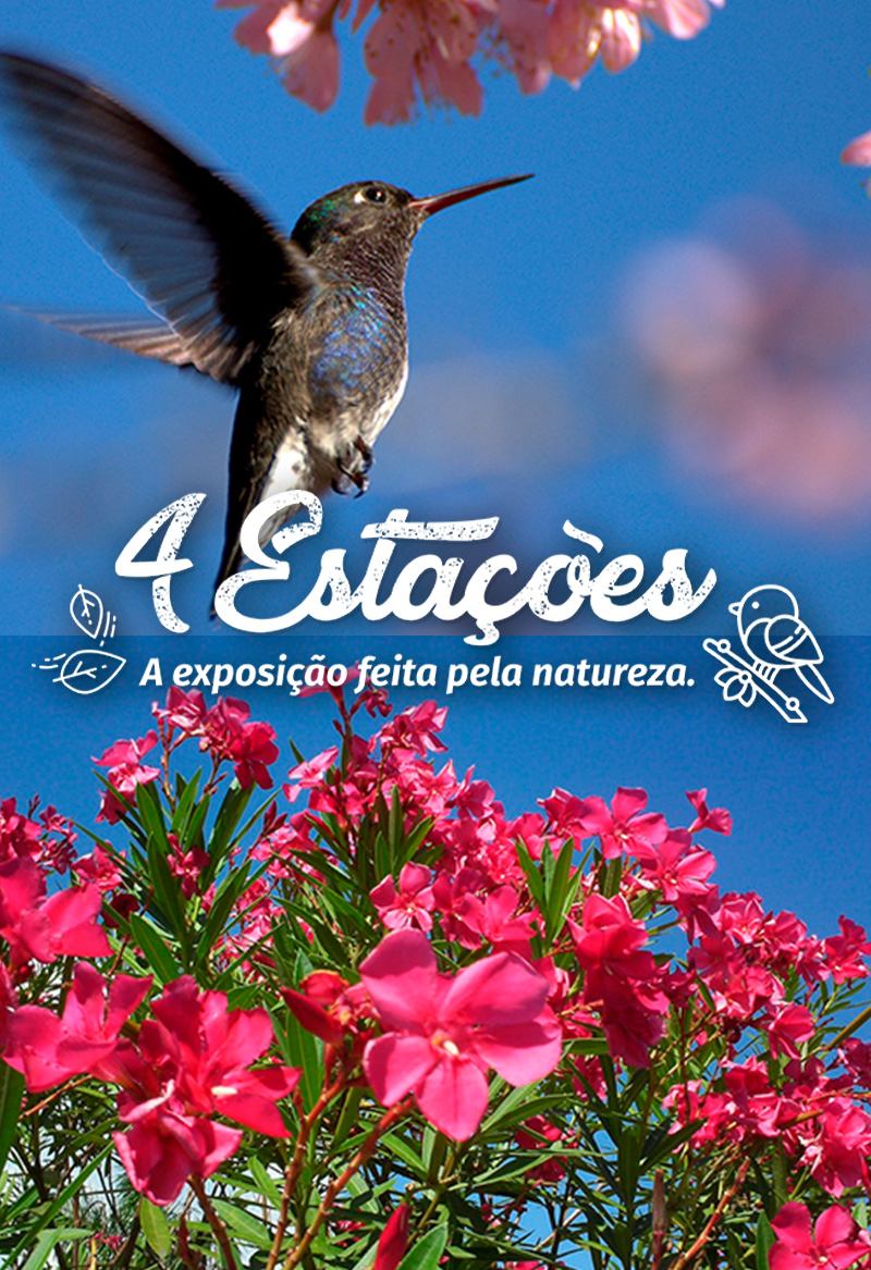 #PraCegoVer - Descrição da imagem para cegos: a imagem mostra uma foto de um beija-flor voando em um céu azul. Abaixo dele aparecem várias flores rosas. Por cima da imagem está escrito: “4 Estações – A exposição feita pela natureza”