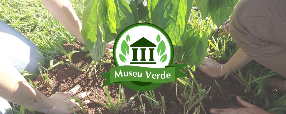 a foto mostra, com foco, um monte de terra e grama. Nele está sendo plantada uma muda por duas pessoas, que só têm as mãos fotografadas. O logo do projeto está por cima da imagem.