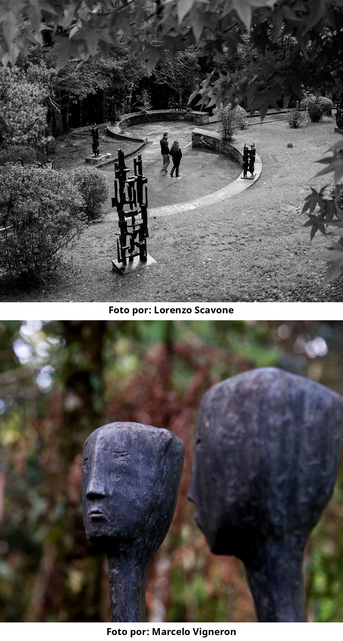 #PraCegoVer - Descrição da imagem para cegos: a primeira imagem mostra um dos jardins do museus com um casal passeando pelo local.  O retrato está de cima para baixo, o que proporciona a sensação de amplitude. Há muitas árvores e algumas obras espalhadas. A foto está em preto e branco. A segunda foto, localizada abaixo da primeira, mostra uma escultura do museu em destaque. São duas cabeças, sem traços definidos, em um local aberto e arborizado, que estão desfocados na imagem.