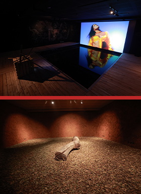 #PraTodosVerem – A imagem mostra uma montagem com duas fotos. A primeira exibe uma sala expositiva, apresentando um telão que mostra uma mulher. No chão, há um quadrado com água e o reflexo da imagem da tela. Em frente há um caixote. A sala é escura, mantida apenas com a iluminação da tela. Abaixo mostra uma sala com diversas folhas no chão e uma espécie de tronco ao centro.