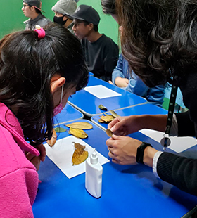 a imagem mostra, na lateral esquerda, a foto de jovens e adultos confeccionando com materiais sustentáveis. A foto apresenta uma educadora, de costas, ensinando uma menina a colar folhas de árvores sobre um papel. Ao fundo, há outros participantes.