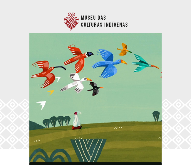 Na parte superior da imagem, sobre fundo cinza claro, aparece o logotipo do Museu das Culturas Indígenas. Ao centro, há uma ilustração em formato retangular. A cena mostra uma paisagem em tons de verde, composta por campos e árvores ao fundo. Na parte superior da ilustração, um grupo de pássaros coloridos voa de um lado para o outro. As aves apresentam diferentes tamanhos e cores, incluindo vermelho, azul, amarelo, branco, preto e verde-água. Algumas possuem bicos longos e penas estilizadas. Na parte inferior, uma figura humana caminha sozinha pelo campo, vestindo roupas claras e carregando um objeto vermelho. Elementos gráficos geométricos em azul e verde compõem a vegetação em primeiro plano. Nas laterais da composição, sobre o fundo cinza, há padrões gráficos geométricos em tom branco. Na parte inferior da fotografia, uma faixa cinza acompanha a base da imagem.