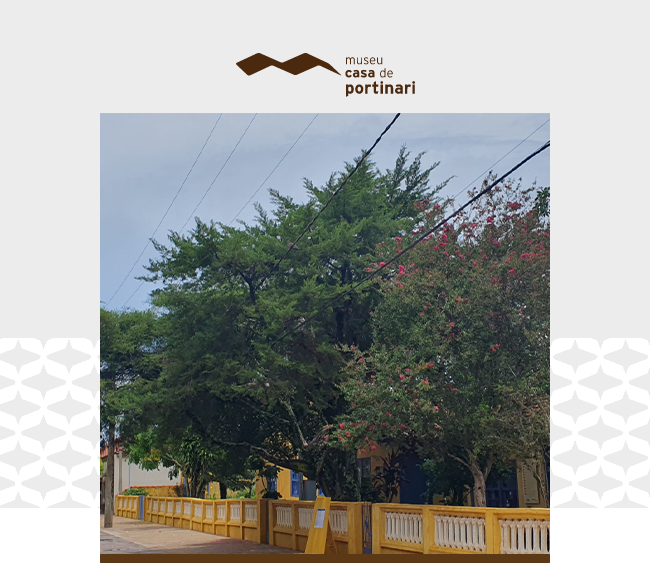 Na parte superior, há o logotipo do Museu Casa de Portinari formado por duas linhas diagonais estilizadas. Abaixo, uma fotografia mostra a esplanada do Museu, com um calçamento sombreado por árvores de copas verdes e flores rosadas. Em primeiro plano, uma mureta amarela com elementos vazados brancos acompanha o calçamento. O céu está claro e fios elétricos cruzam a parte superior da paisagem.